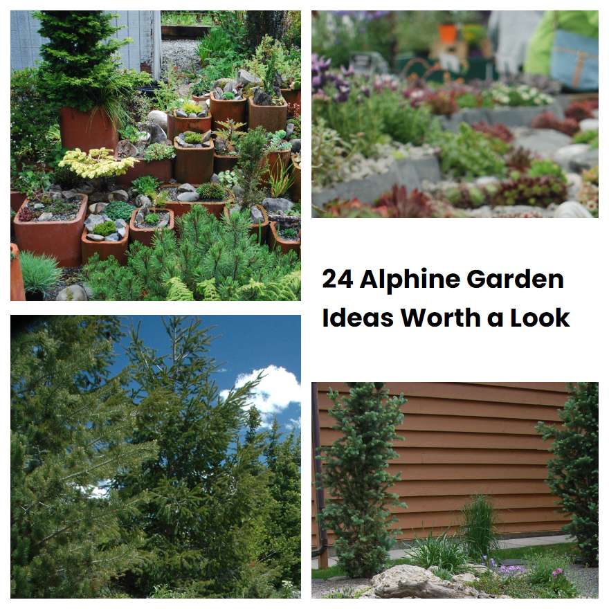 24 Alphine Garden Ideas Worth a Look