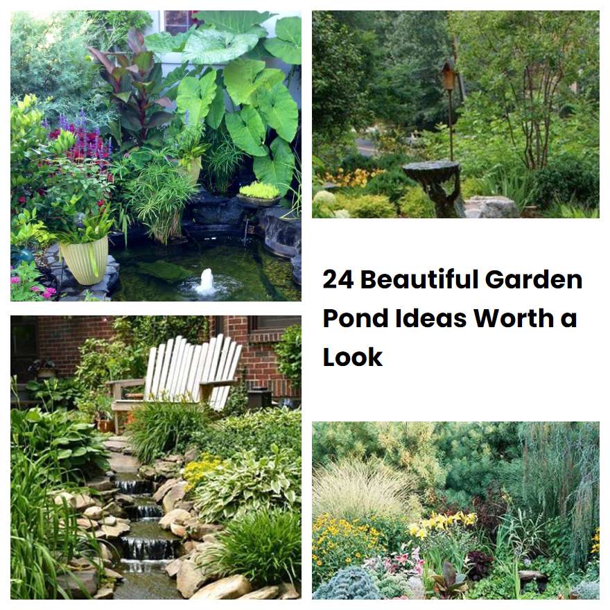 24 Beautiful Garden Pond Ideas Worth a Look | SharonSable