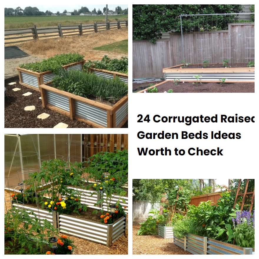 24 Corrugated Raised Garden Beds Ideas Worth to Check | SharonSable