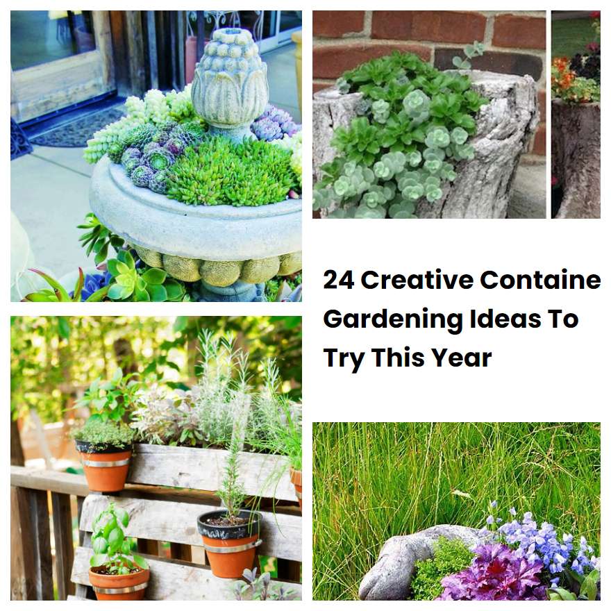 24 Creative Container Gardening Ideas To Try This Year | SharonSable