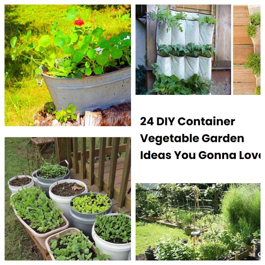 24 DIY Container Vegetable Garden Ideas You Gonna Love | SharonSable