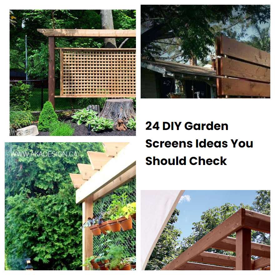 24 DIY Garden Screens Ideas You Should Check | SharonSable