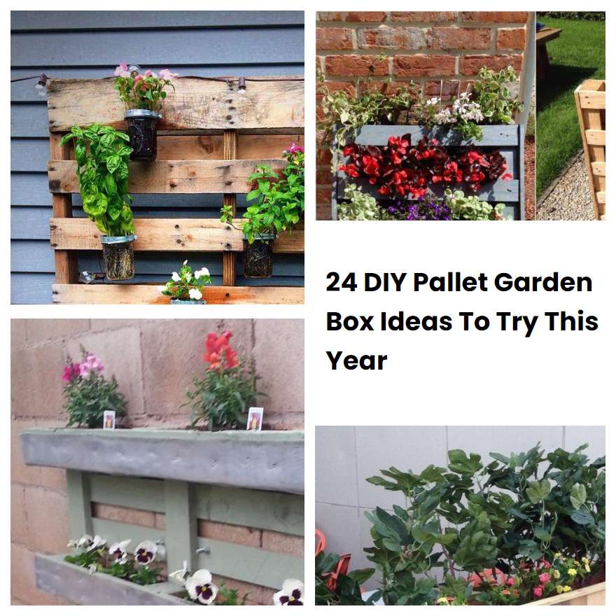 24 Diy Pallet Garden Box Ideas To Try This Year 