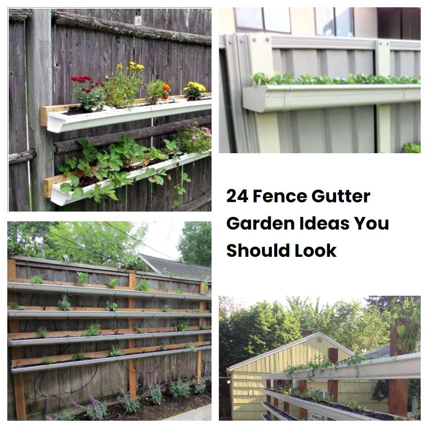 24 Fence Gutter Garden Ideas You Should Look | SharonSable