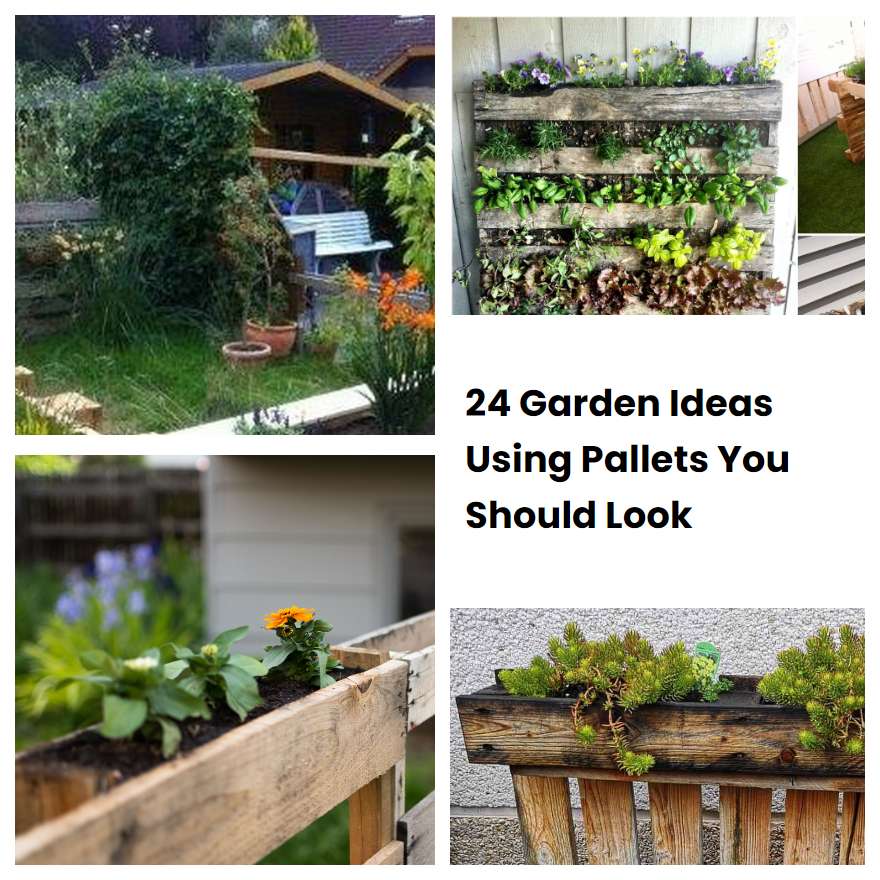 24 Garden Ideas Using Pallets You Should Look | SharonSable