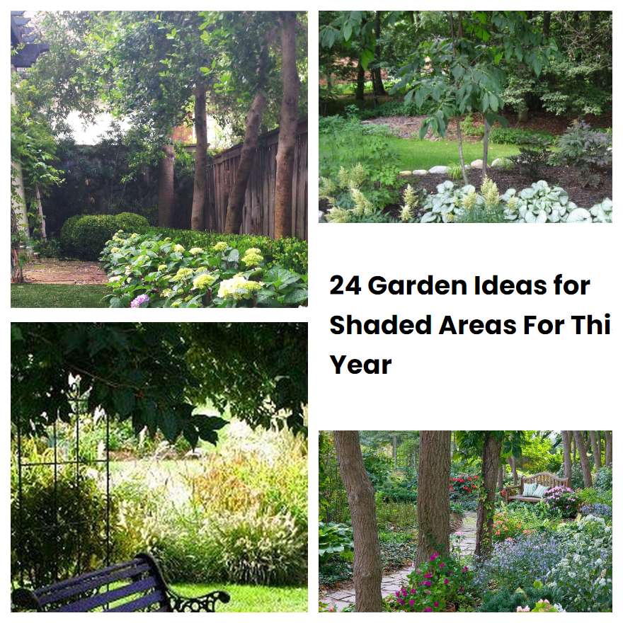 24 Garden Ideas for Shaded Areas For This Year | SharonSable