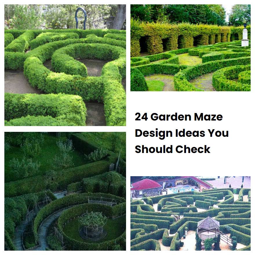 24 Garden Maze Design Ideas You Should Check Sharonsable