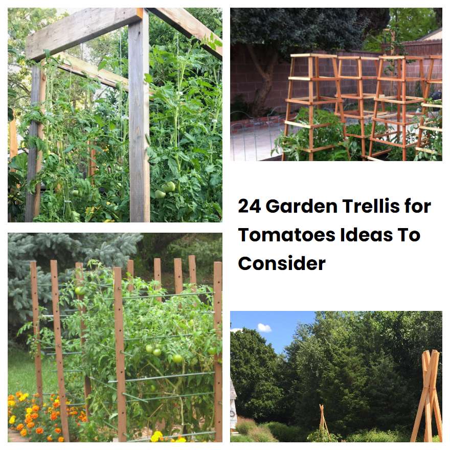 24 Garden Trellis for Tomatoes Ideas To Consider | SharonSable