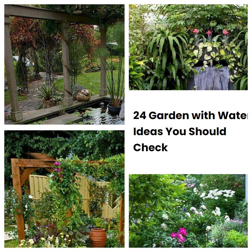 24 Garden with Water Ideas You Should Check