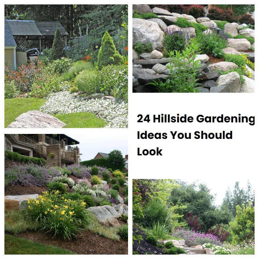 24 Hillside Gardening Ideas You Should Look | SharonSable