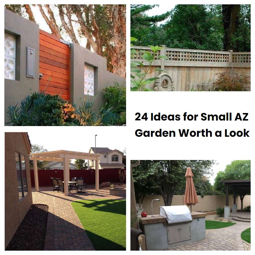 24 Ideas for Small AZ Garden Worth a Look | SharonSable