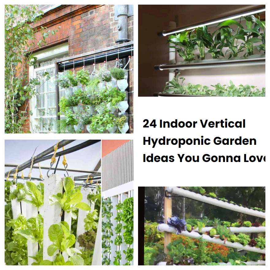 24 Indoor Vertical Hydroponic Garden Ideas You Gonna Love | SharonSable