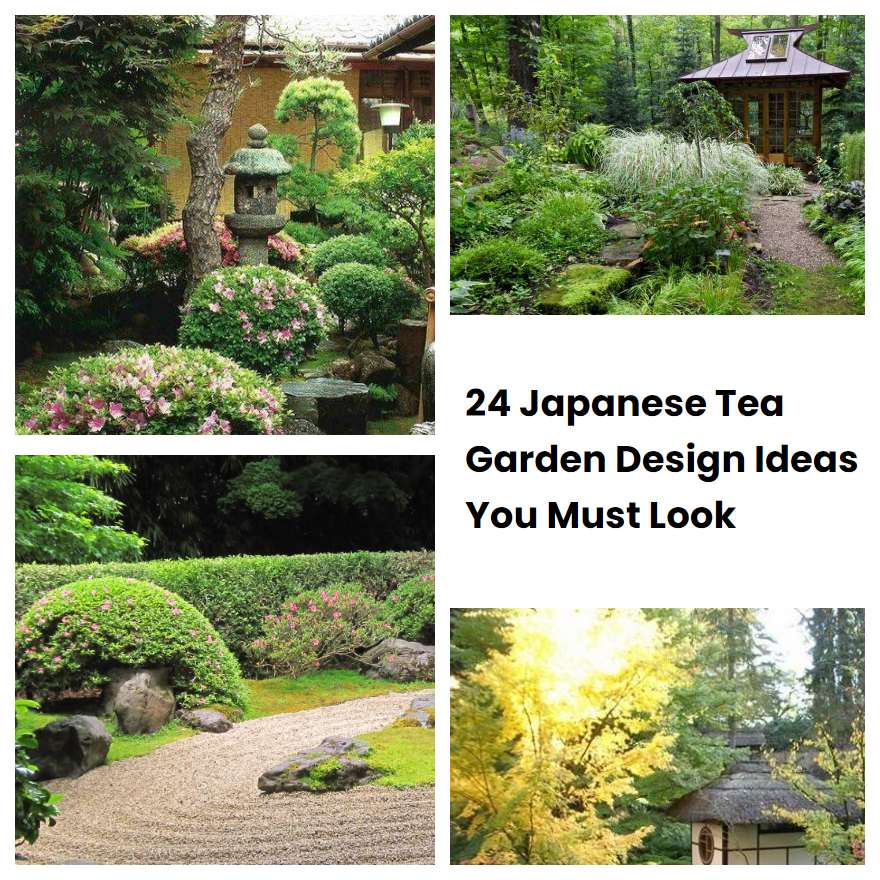 24 Japanese Tea Garden Design Ideas You Must Look | SharonSable