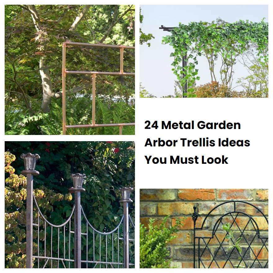 24 Metal Garden Arbor Trellis Ideas You Must Look