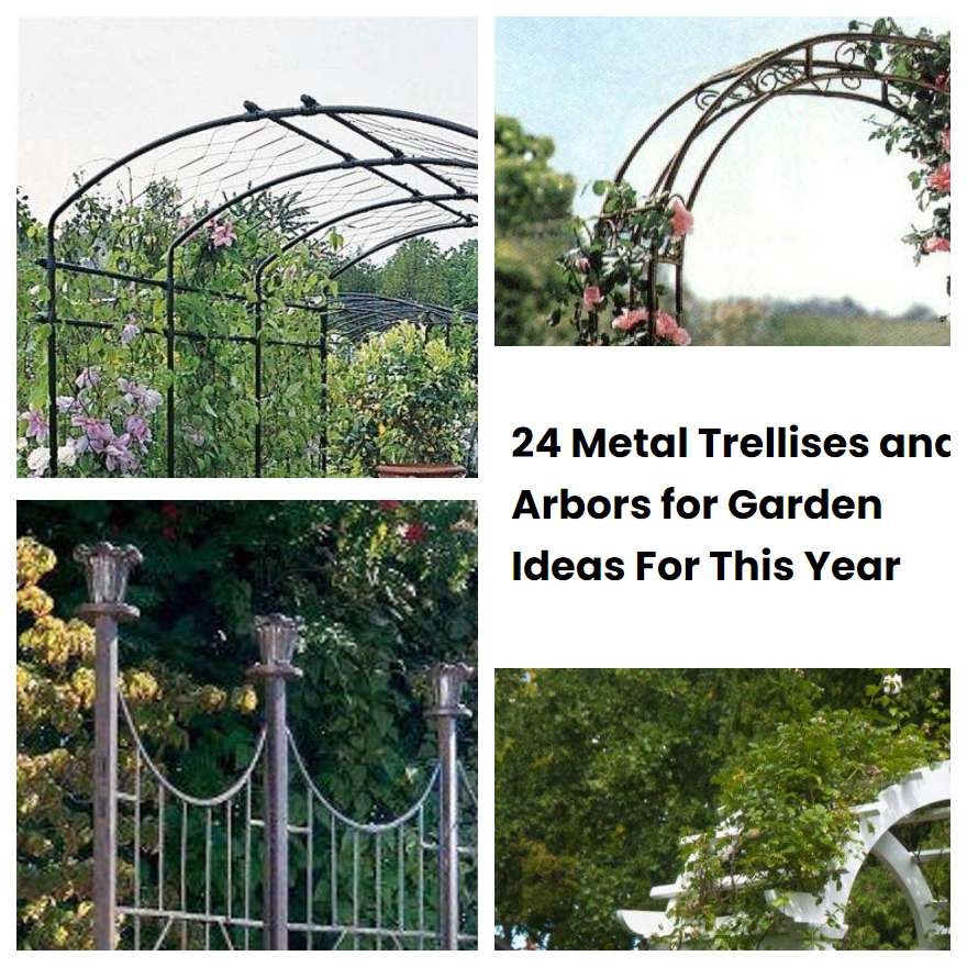 24 Metal Trellises And Arbors For Garden Ideas For This Year 