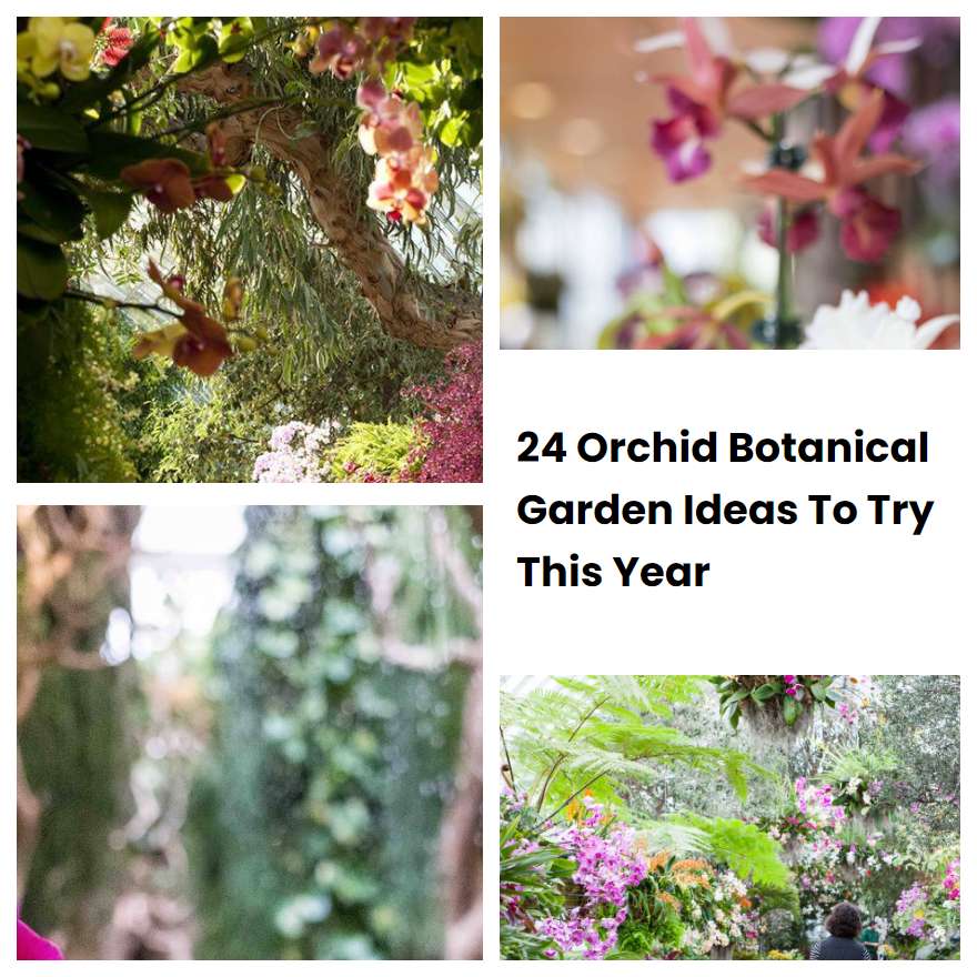 24 Orchid Botanical Garden Ideas To Try This Year
