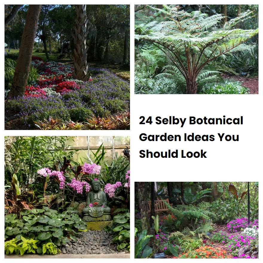 24 Selby Botanical Garden Ideas You Should Look | SharonSable