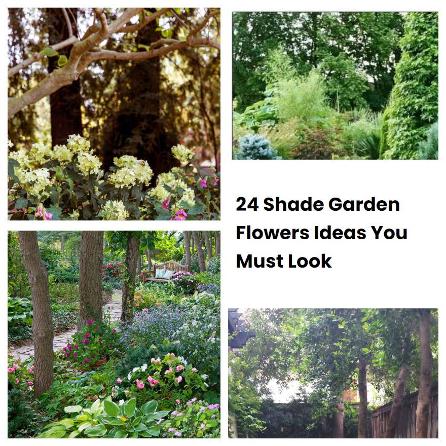 24 Shade Garden Flowers Ideas You Must Look | SharonSable