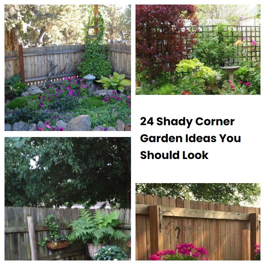 24 Shady Corner Garden Ideas You Should Look | SharonSable