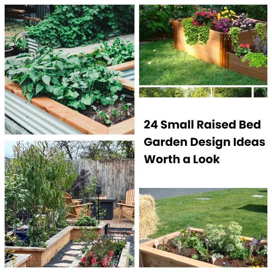 24 Small Raised Bed Garden Design Ideas Worth a Look | SharonSable