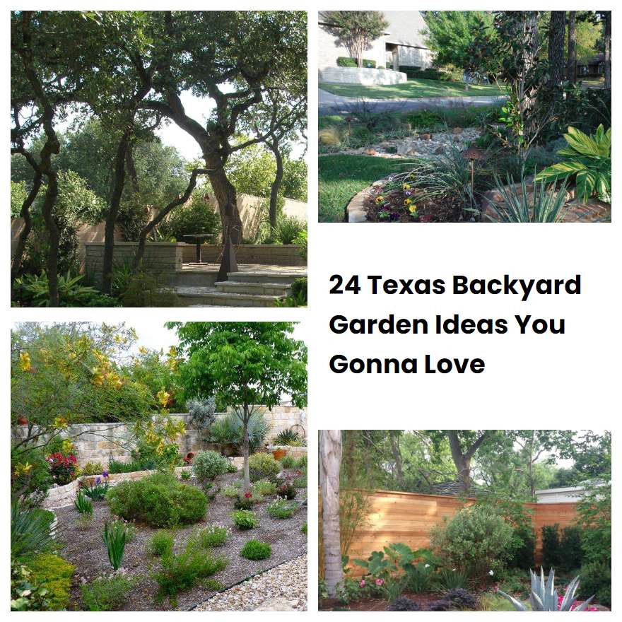 24 Texas Backyard Garden Ideas You Gonna Love | SharonSable