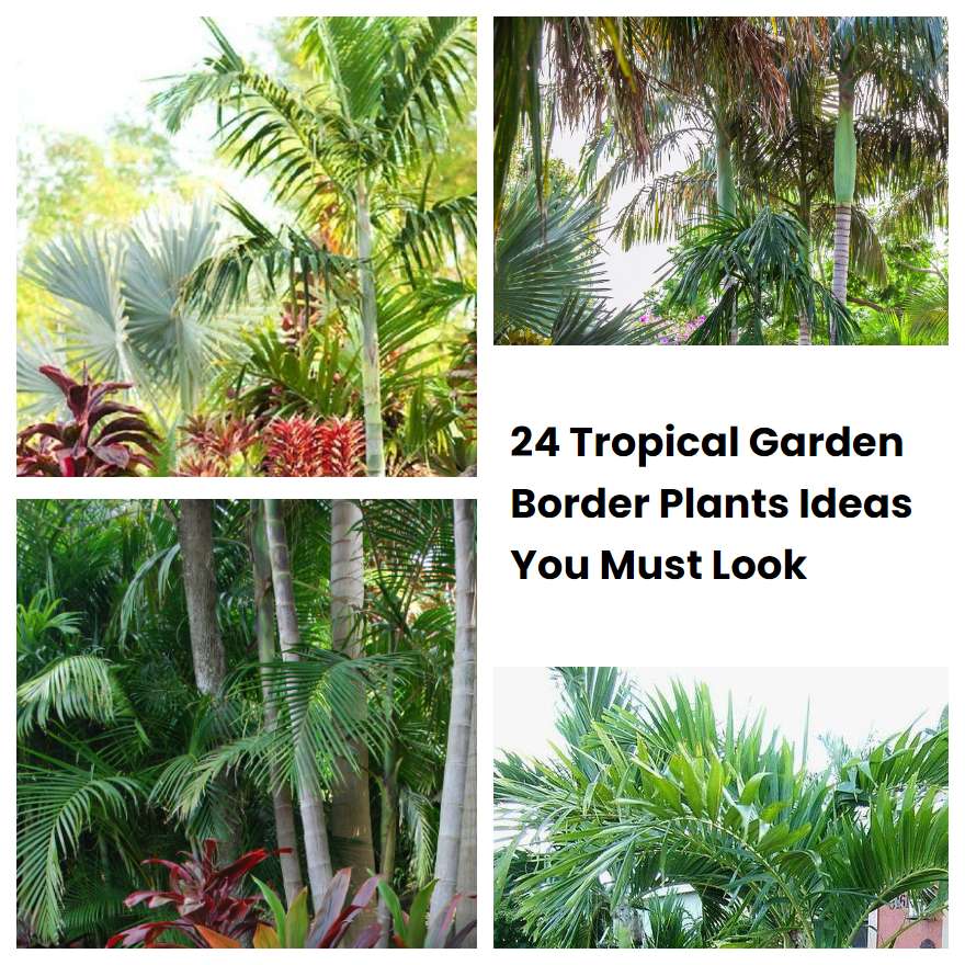 24 Tropical Garden Border Plants Ideas You Must Look | SharonSable