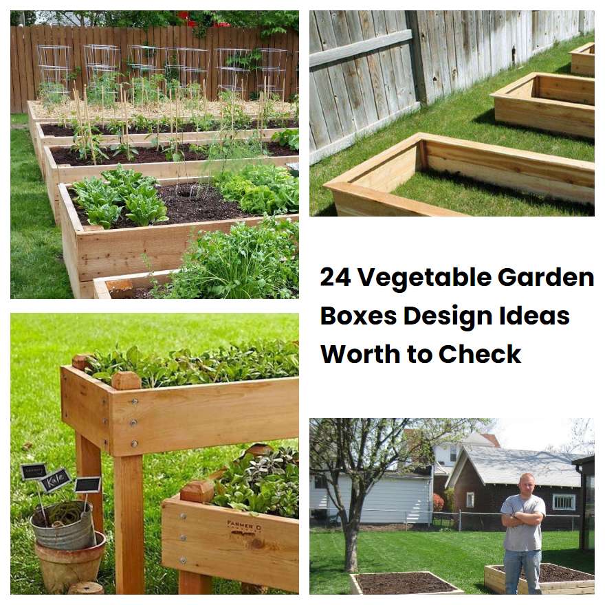 24 Vegetable Garden Boxes Design Ideas Worth to Check