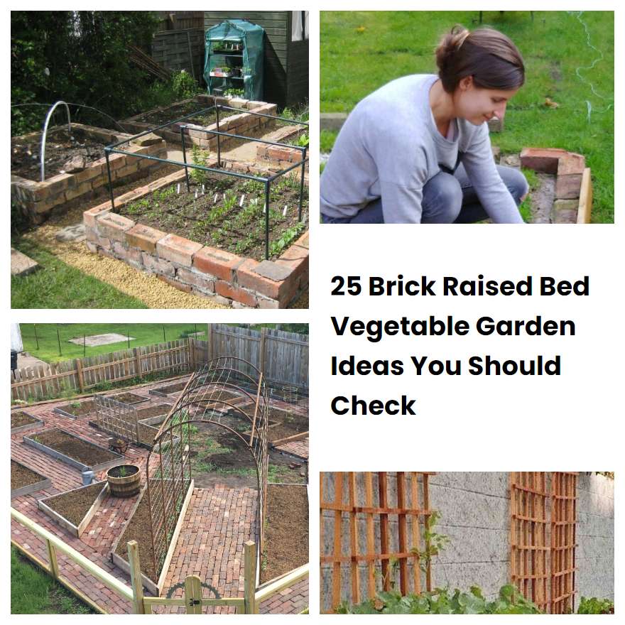 25 Brick Raised Bed Vegetable Garden Ideas You Should Check | SharonSable