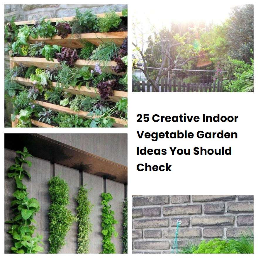 25 Creative Indoor Vegetable Garden Ideas You Should Check | SharonSable