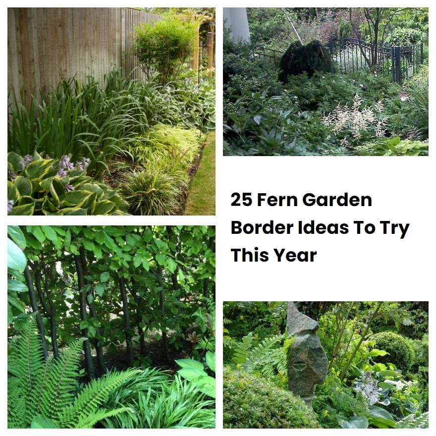 25 Fern Garden Border Ideas To Try This Year | SharonSable