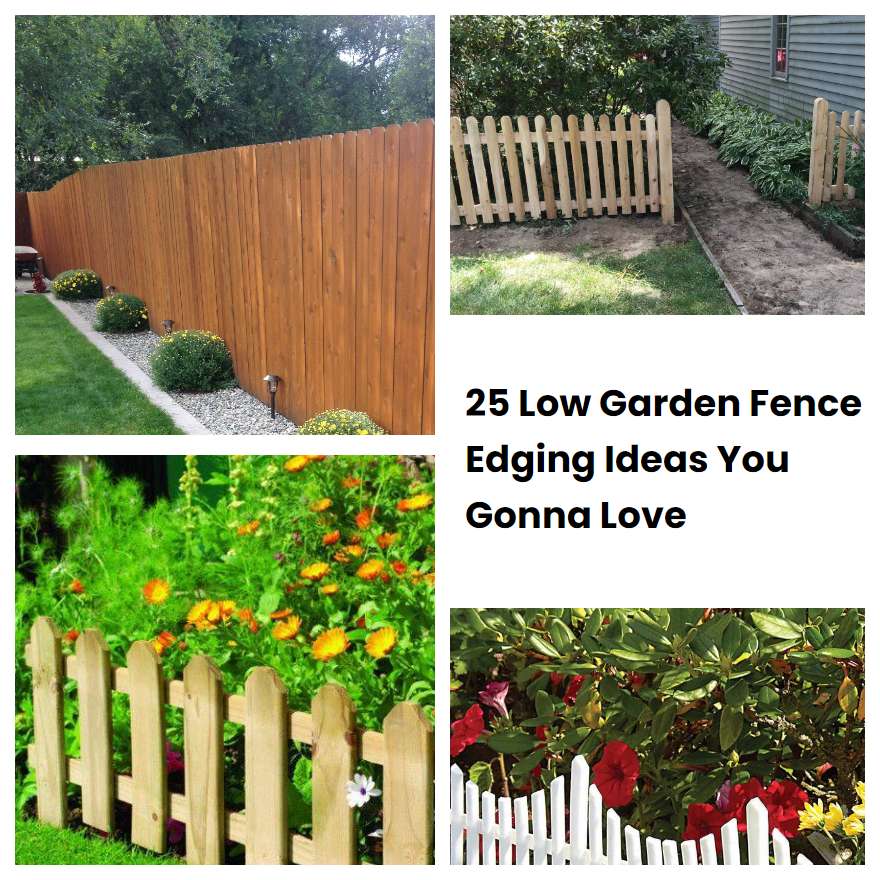 Low Garden Fence Edging Ideas You Gonna Love Sharonsable