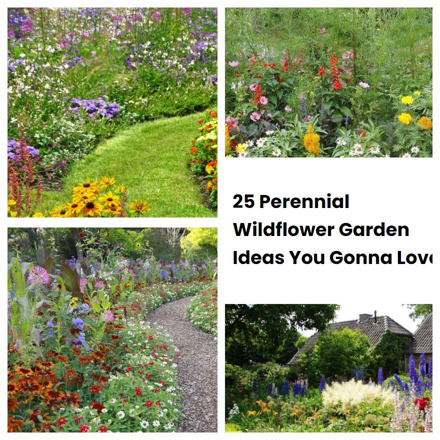 25 Perennial Wildflower Garden Ideas You Gonna Love | SharonSable