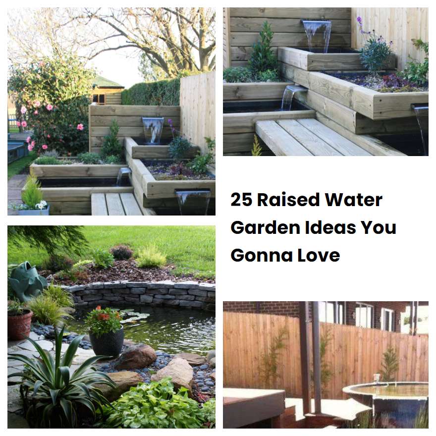 25 Raised Water Garden Ideas You Gonna Love