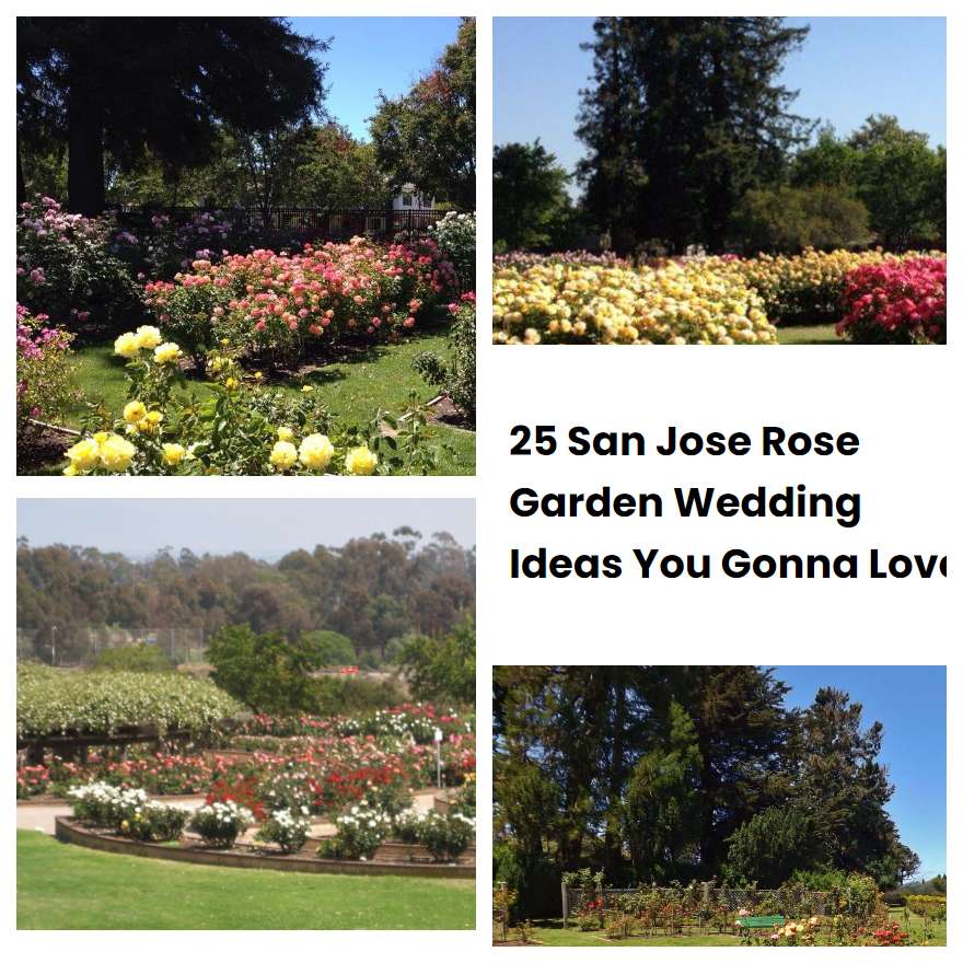 25 San Jose Rose Garden Wedding Ideas You Gonna Love