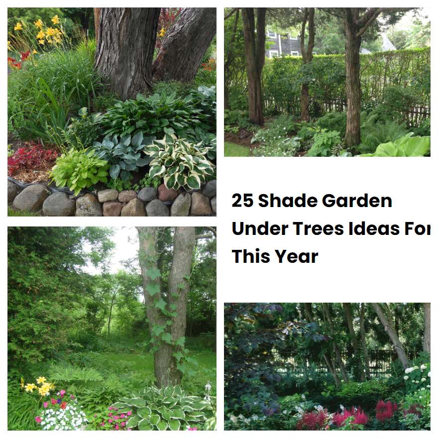 25 Shade Garden Under Trees Ideas For This Year | SharonSable