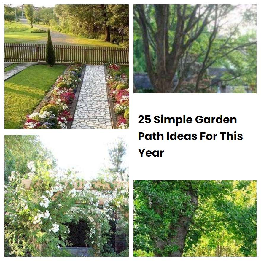 25 Simple Garden Path Ideas For This Year | SharonSable