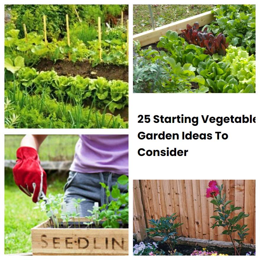 25 Starting Vegetable Garden Ideas To Consider Sharonsable