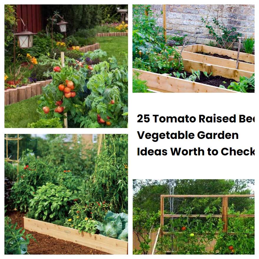 25 Tomato Raised Bed Vegetable Garden Ideas Worth to Check | SharonSable