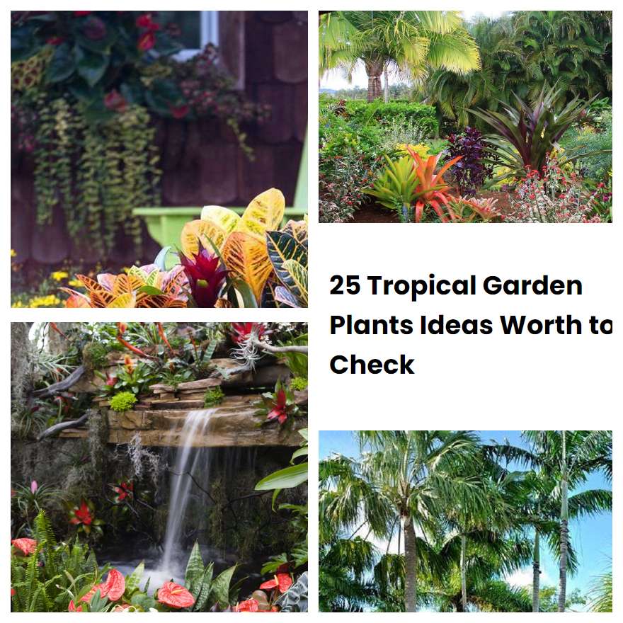 25 Tropical Garden Plants Ideas Worth to Check