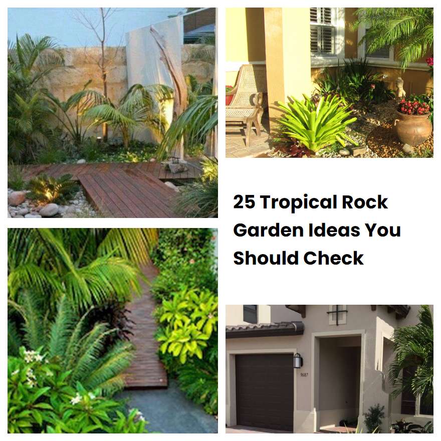 25 Tropical Rock Garden Ideas You Should Check