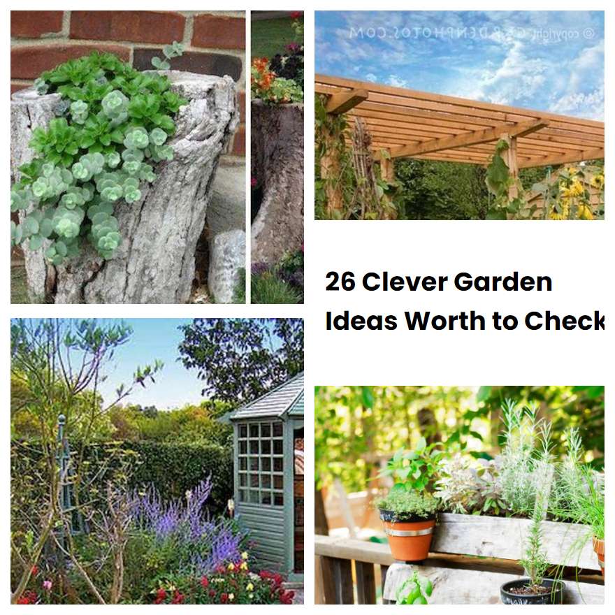 26 Clever Garden Ideas Worth to Check | SharonSable