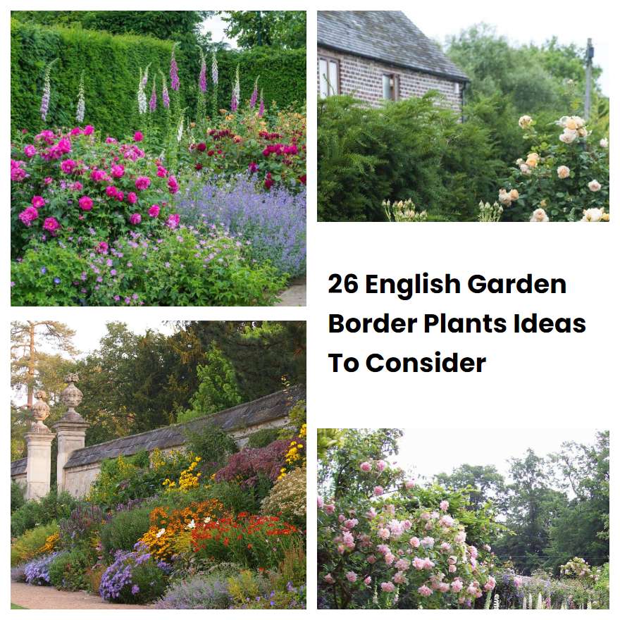 26 English Garden Border Plants Ideas To Consider | SharonSable