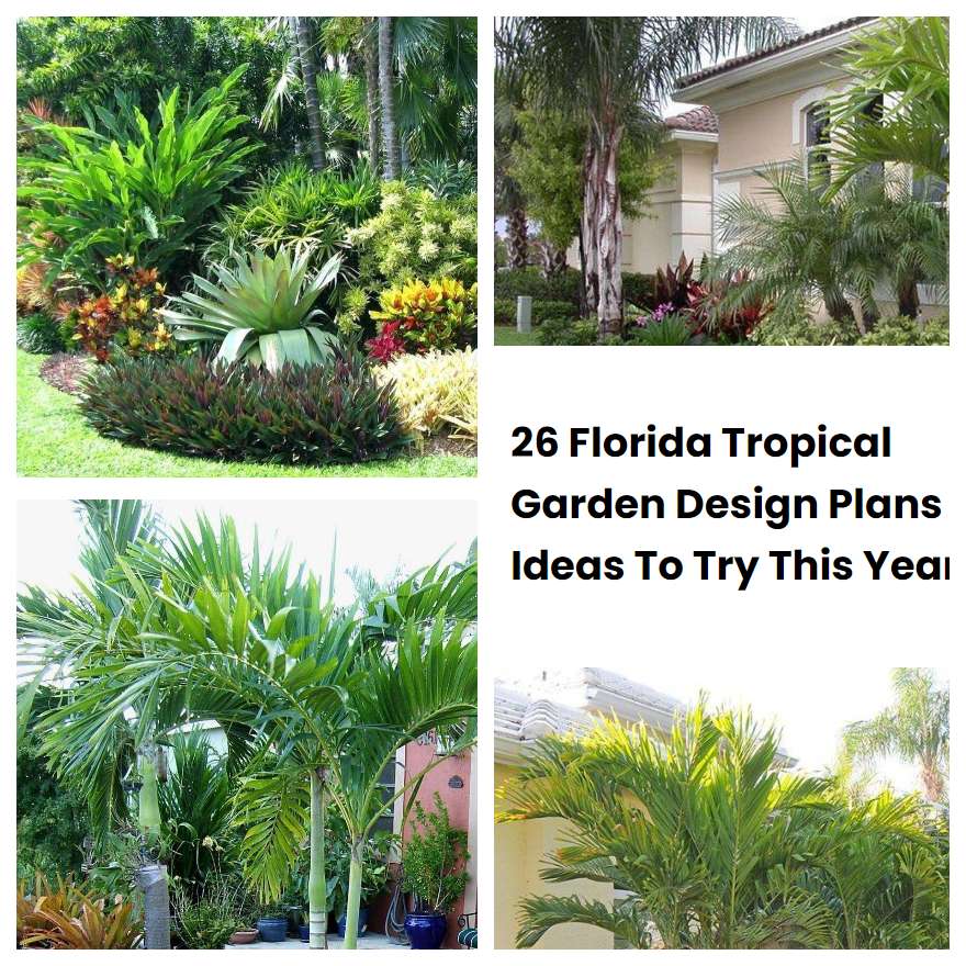 26 Florida Tropical Garden Design Plans Ideas To Try This Year ...