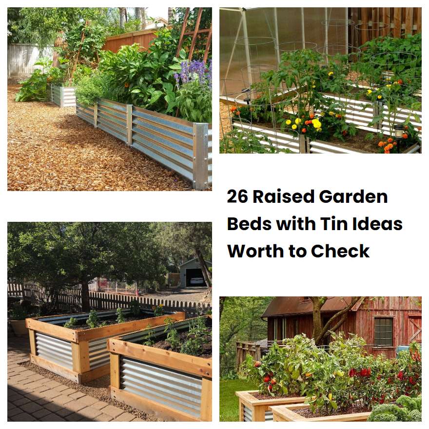 26 Raised Garden Beds with Tin Ideas Worth to Check | SharonSable