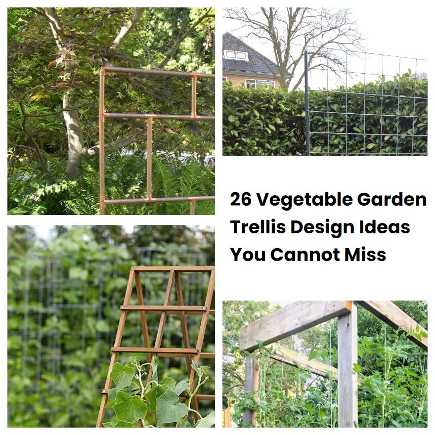 26 Vegetable Garden Trellis Design Ideas You Cannot Miss