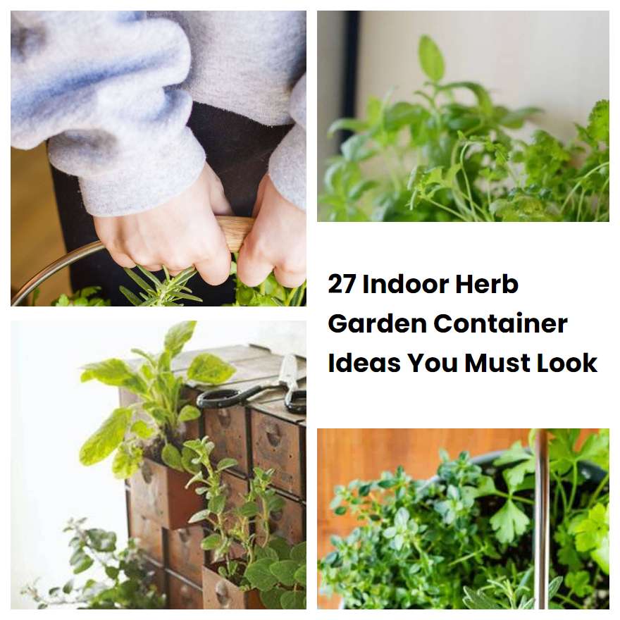 27 Indoor Herb Garden Container Ideas You Must Look | SharonSable