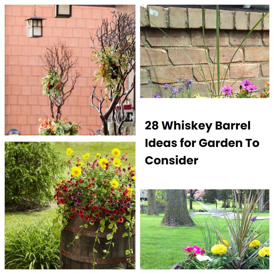 28 Whiskey Barrel Ideas for Garden To Consider