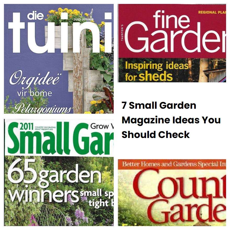 7 Small Garden Magazine Ideas You Should Check | SharonSable